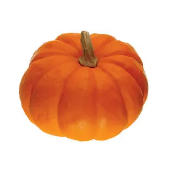 Fresh pumkin (38)-8055023-98760.webp